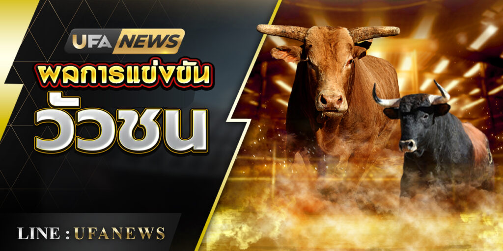 ผลการแข่งขันวัวชน สนามกีฬาชนโคบ้านบ่อล้อ วันที่ 9 กันยายน 2567