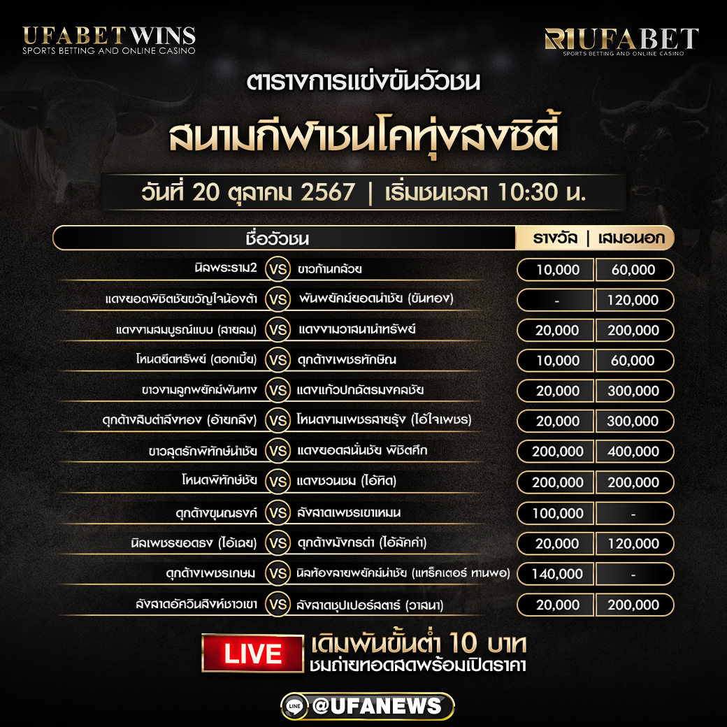 โปรแกรมวัวชน สนามกีฬาชนโคบ้านทุ่งสงซิตี้ วันที่ 20 ตุลาคม 2567