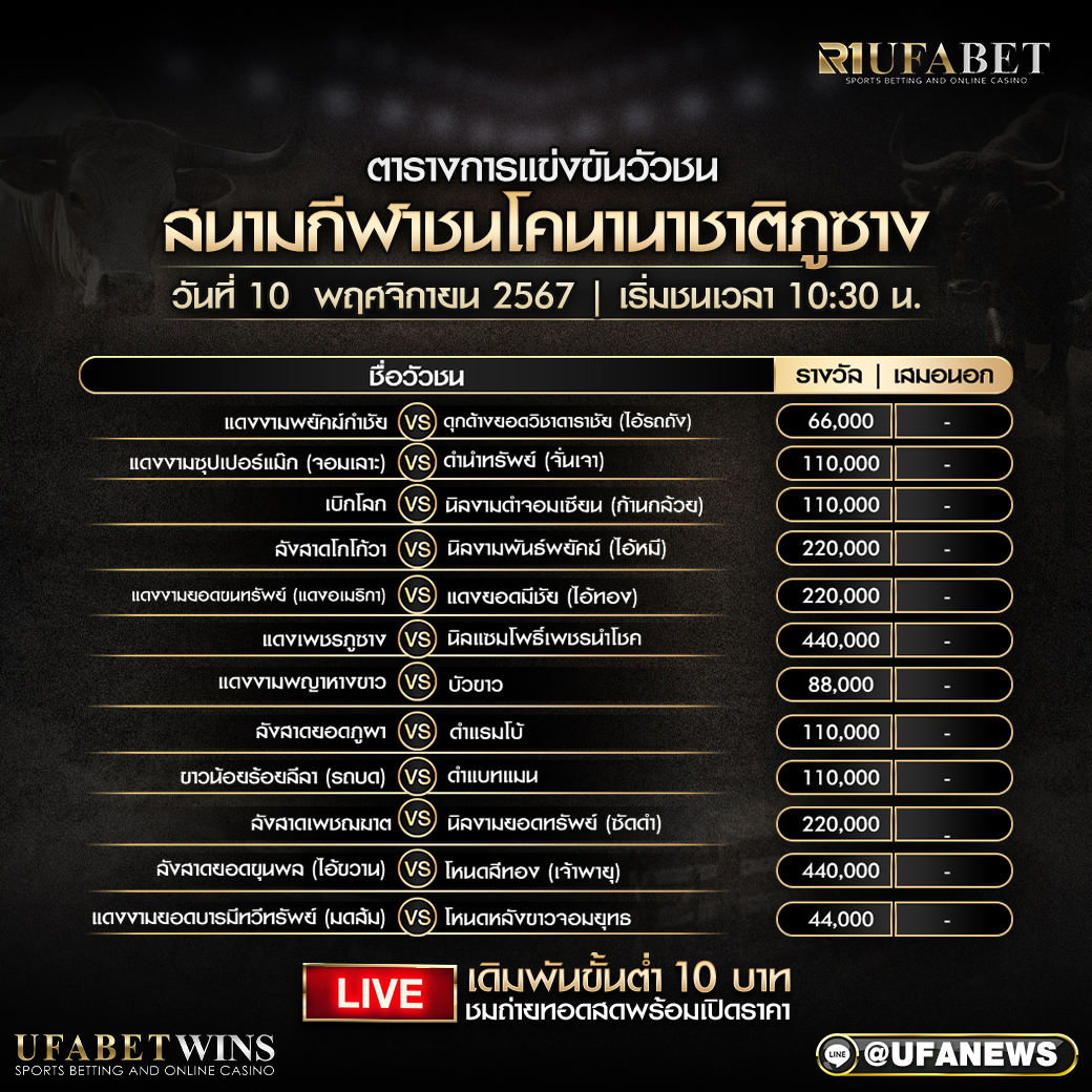 โปรแกรมวัวชน สนามกีฬาชนโคนานาชาติภูซาง วันที่ 10 พฤศจิกายน 2567