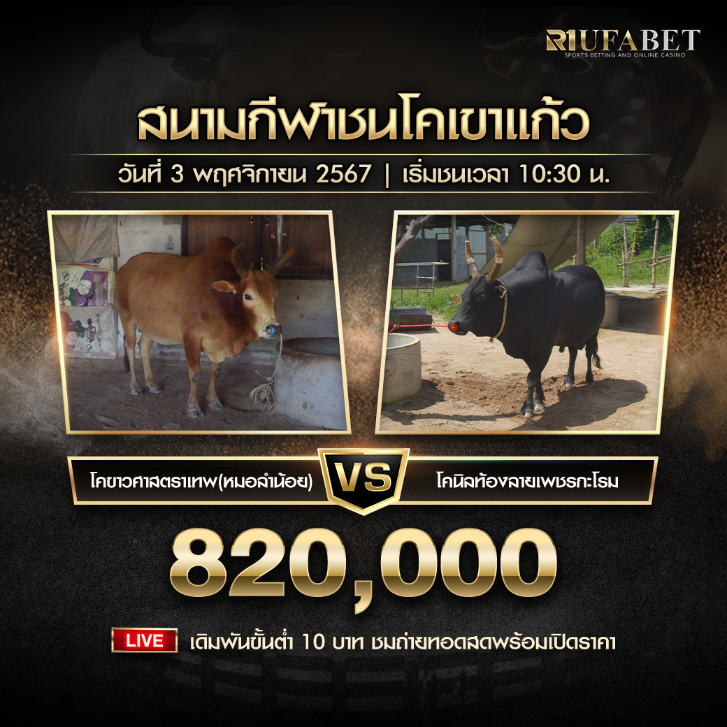 โปรแกรมวัวชน สนามกีฬาชนโคบ้านเขาแก้ว วันที่ 3 พฤศจิกายน 2567