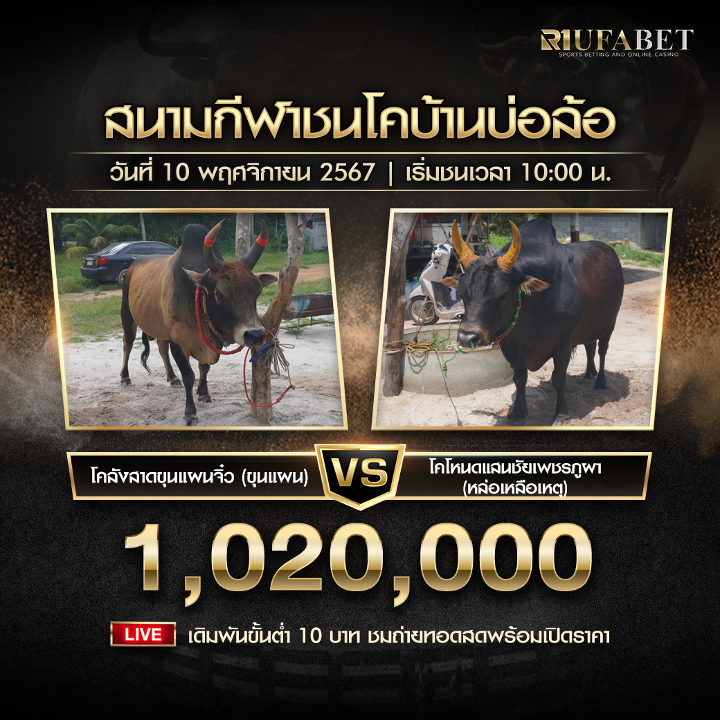 โปรแกรมวัวชน สนามกีฬาชนโคบ้านบ่อล้อ วันที่ 10 พฤศจิกายน 2567