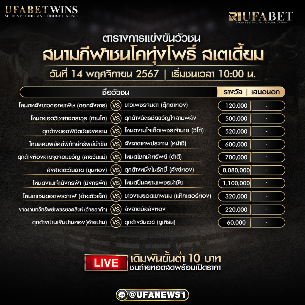 โปรแกรมวัวชน สนามกีฬาชนโคทุ่งโพธิ์ วันที่ 14 พฤศจิกายน 2567