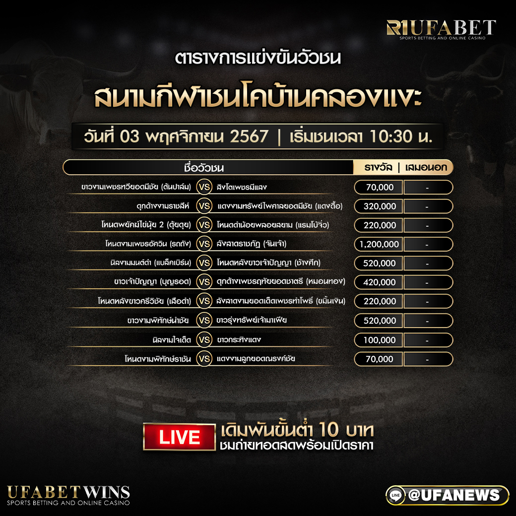 โปรแกรมวัวชน สนามกีฬาชนโคบ้านคลองแงะ วันที่ 3 พฤศจิกายน 2567