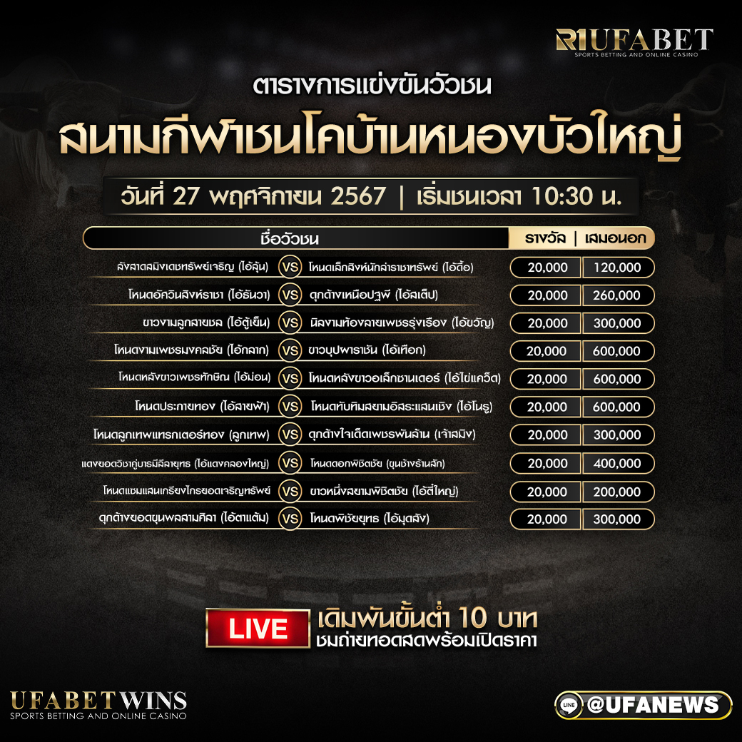 โปรแกรมวัวชน สนามกีฬาชนโคหนองบัวใหญ่ วันที่ 27 พฤศจิกายน 2567