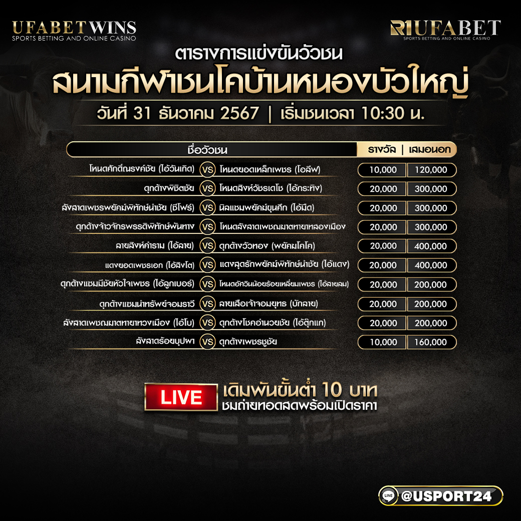 โปรแกรมวัวชน สนามกีฬาบ้านหนองบัวใหญ่ วันที่ 31 ธันวาคม 2567