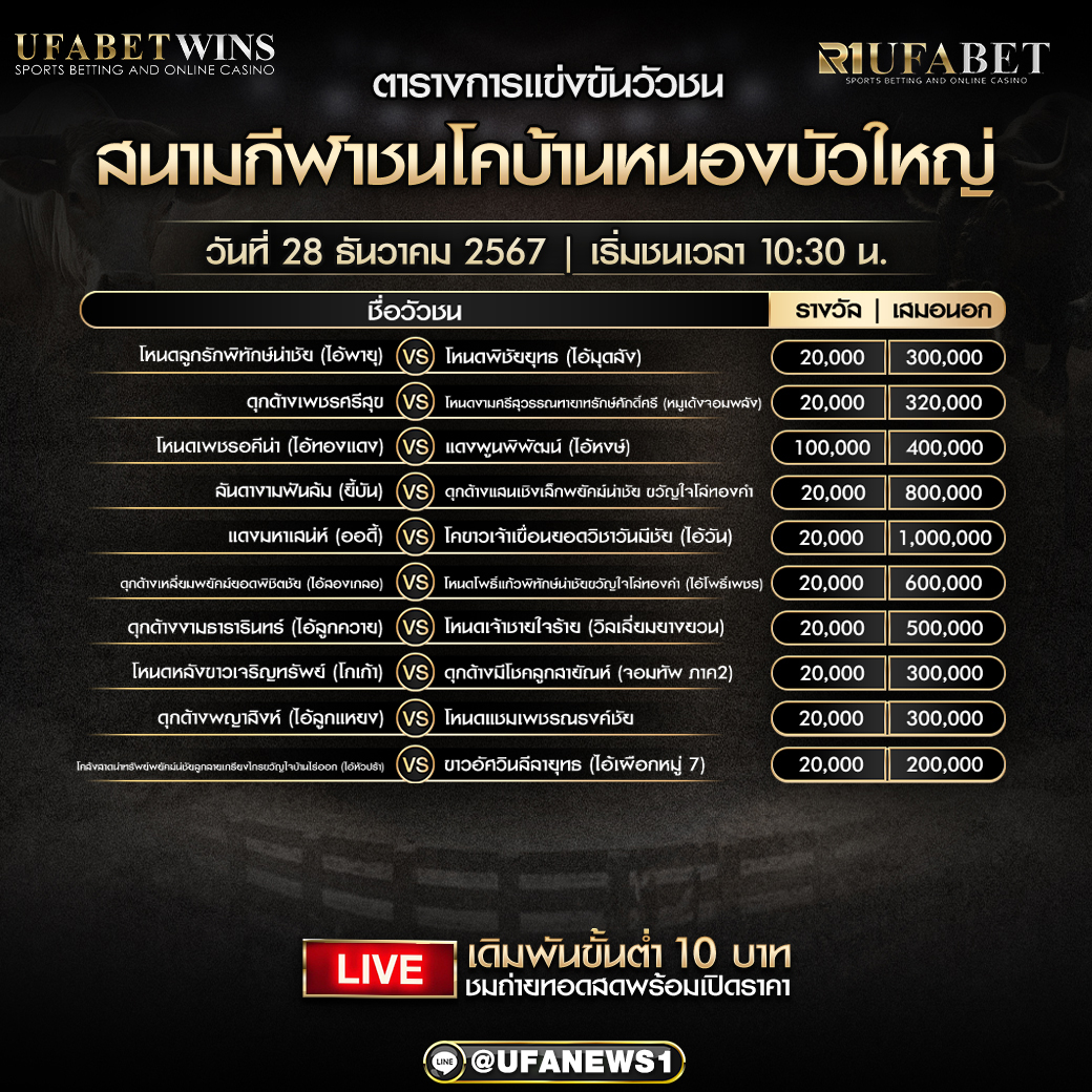 โปรแกรมวัวชน สนามกีฬาชนโคบ้านหนองบัวใหญ่ วันที่ 28 ธันวาคม 2567