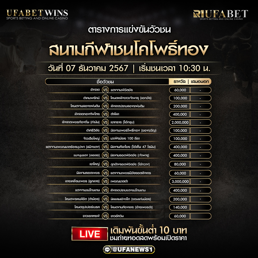 โปรแกรมวัวชนสนามกีฬาชนโคโพธิ์ทอง วันที่ 7 ธันวาคม 2567