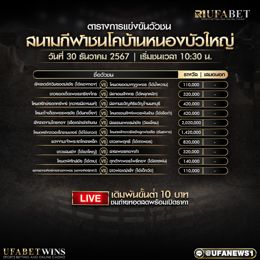โปรแกรมวัวชน สนามกีฬาชนโคบ้านหนองบัวใหญ่ วันที่ 30 ธันวาคม 2567