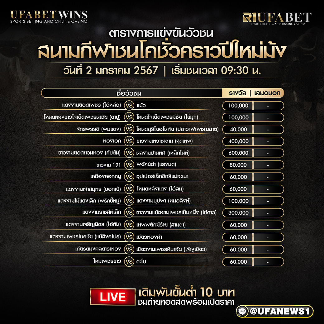 โปรแกรมวัวชน สนามชนโคชั่วคราวปีใหม่ม้ง วันที่ 2 มกราคม 2568