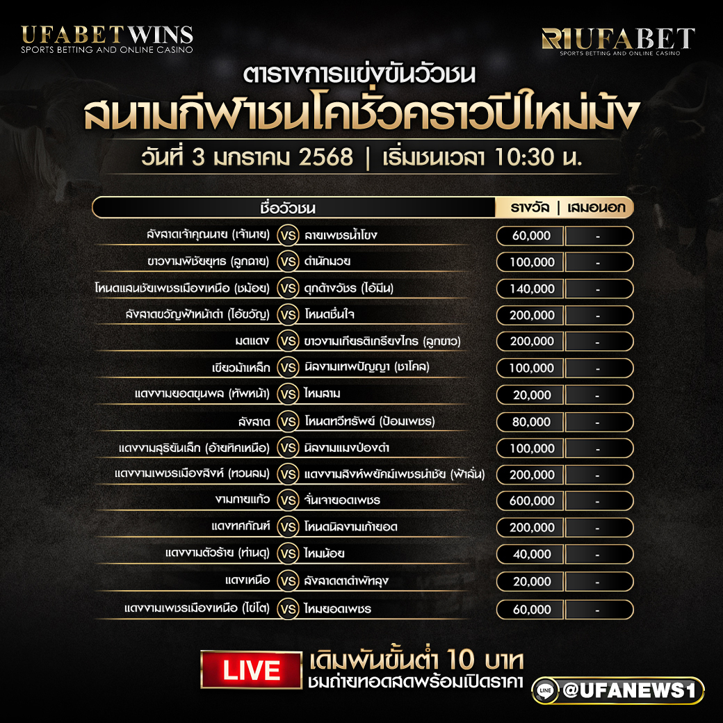 โปรแกรมวัวชน สนามชนโคชั่วคราวปีใหม่ม้ง วันที่ 3 มกราคม 2568 