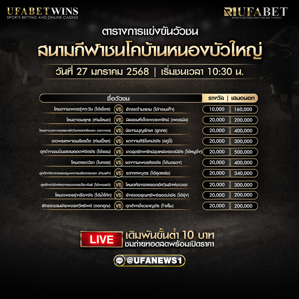 โปรแกรมวัวชน สนามกีฬาชนโคบ้านหนองบัวใหญ่ วันที่ 27 มกราคม 2568