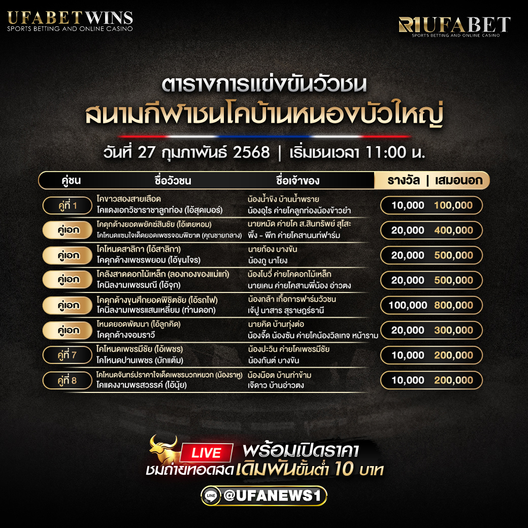 โปรแกรมวัวชน สนามกีฬาชนโคบ้านหนองบัวใหญ่ วันที่ 27/02/68