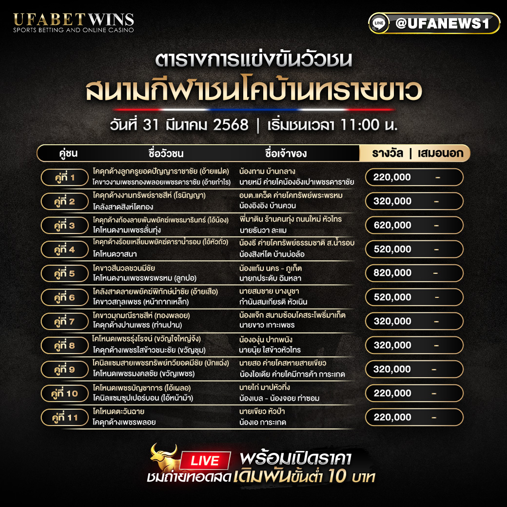โปรแกรมวัวชน สนามกีฬาชนโคบ้านทรายขาว วันที่ 31 มีนาคม 2568