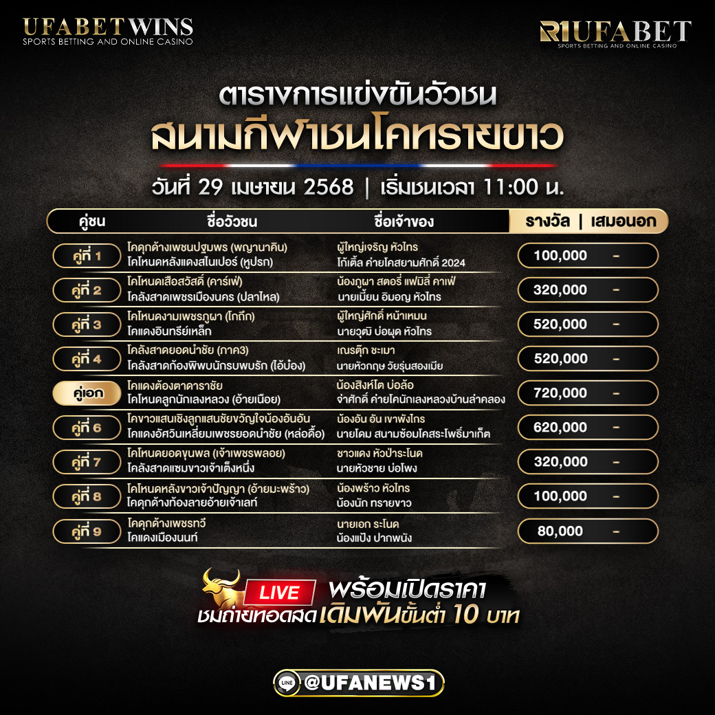 โปรแกรมวัวชน สนามกีฬาชนโคทรายขาว วันที่ 29 เมษายน 2568