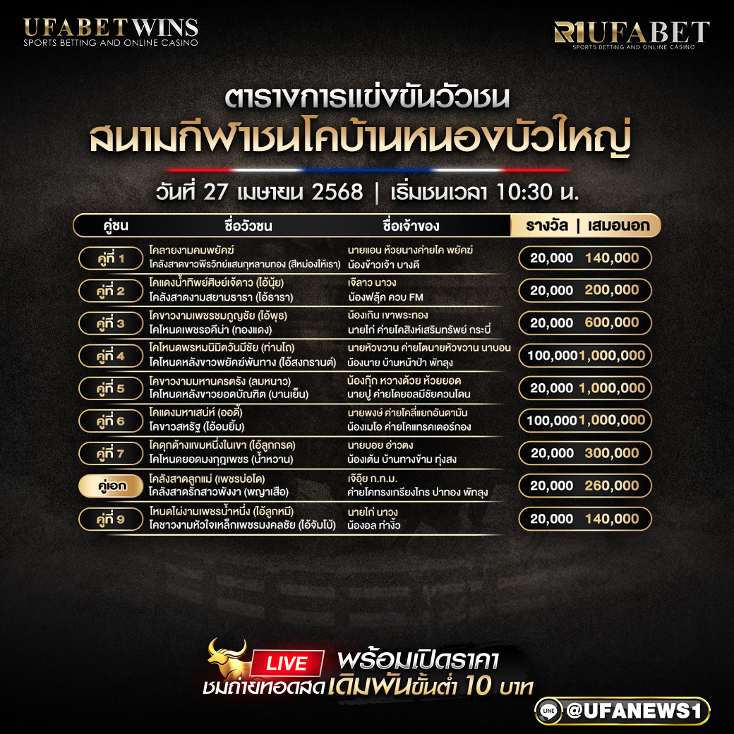โปรแกรมวัวชน สนามกีฬาชนโคบ้านหนองบัวใหญ่ วันที่ 26 เมษายน 2568
