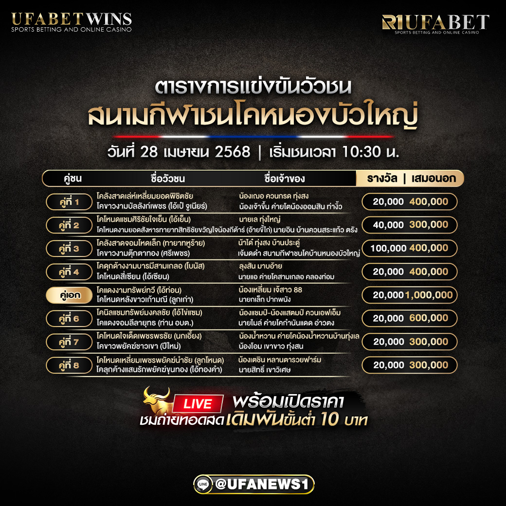 โปรแกรมวัวชน สนามกีฬาชนโคหนองบัวใหญ่ วันที่ 27 เมษายน 2568