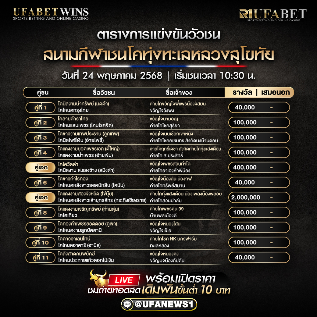 โปรแกรมวัวชน สนามกีฬาชนโคทุ่งทะเลหลวงสุโขทัย วันที่ 24/05/2568