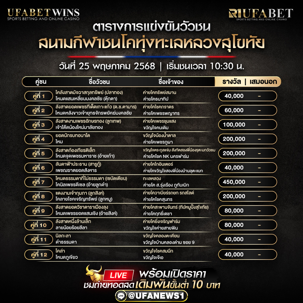 โปรแกรมวัวชน สนามกีฬาชนโคทุ่งทะเลหลวงสุโขทัย วันที่ 25/05/2568