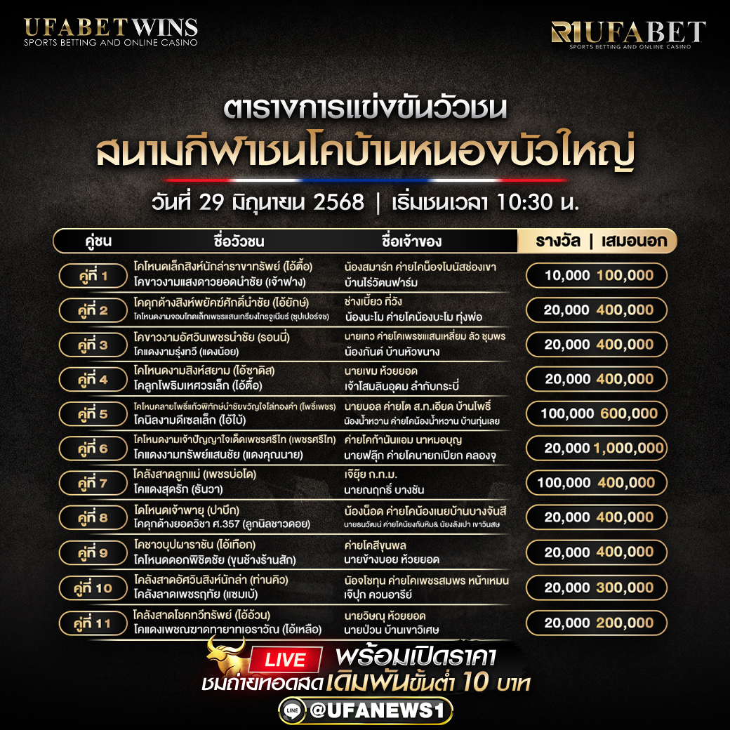 โปรแกรมวัวชน สนามกีฬาชนโคบ้านหนองบัวใหญ่ วันที่ 29/06/2568