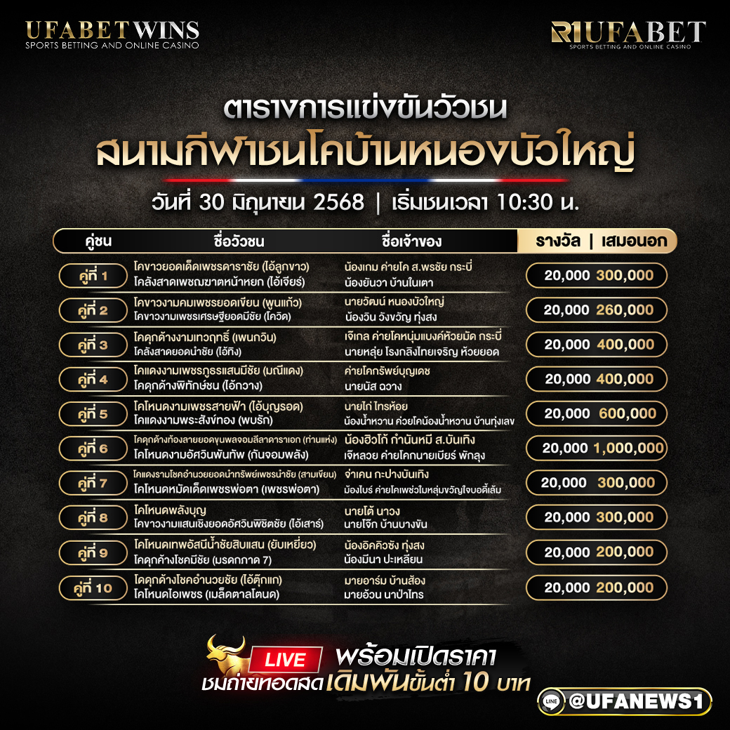 โปรแกรมวัวชน สนามกีฬาชนโคบ้านหนองบัวใหญ่ วันที่ 30/06/2568