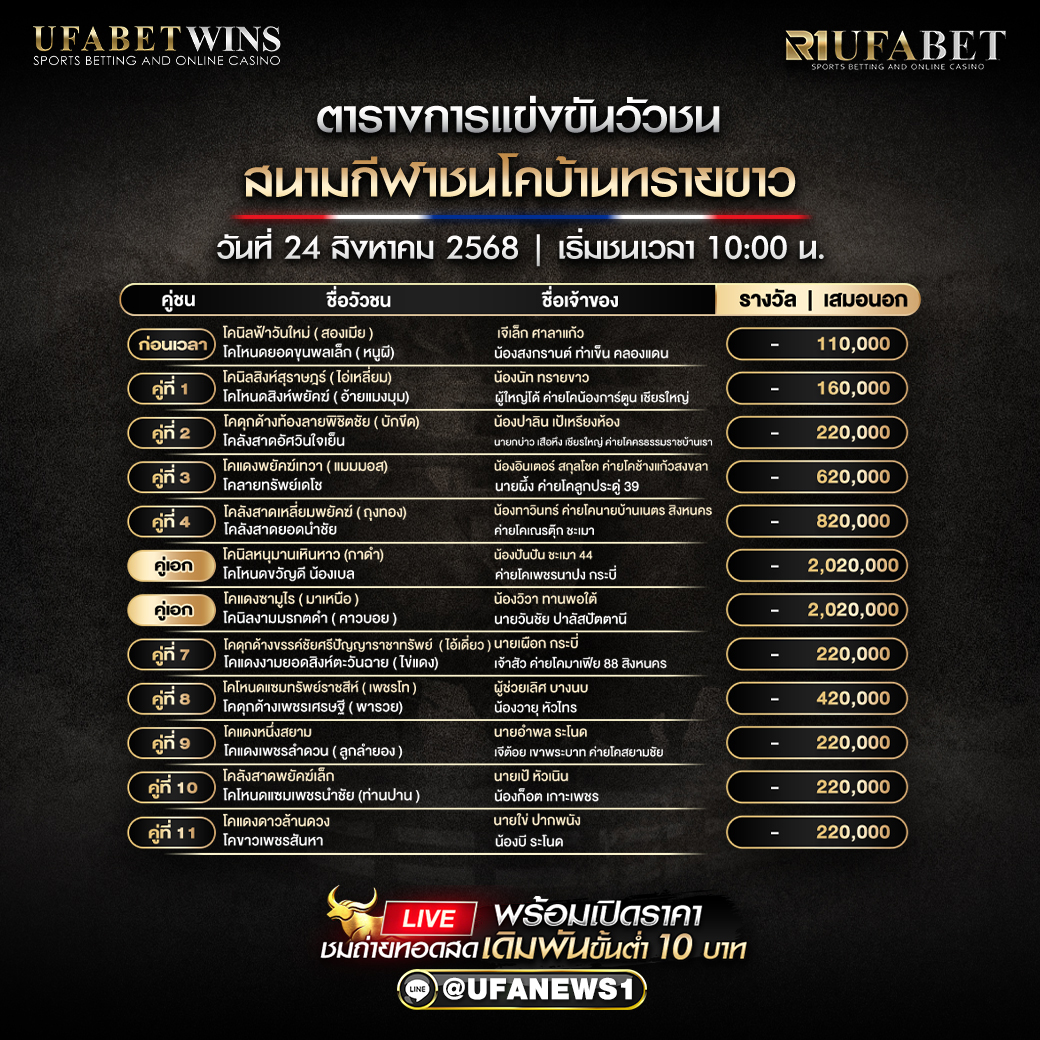 โปรแกรมวัวชน สนามกีฬาชนโคบ้านทรายขาว วันที่ 24/08/2568