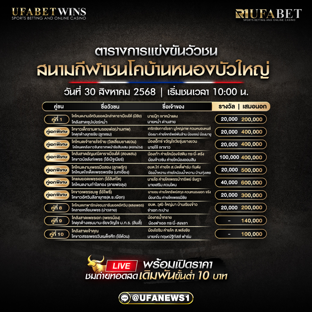 โปรแกรมวัวชน สนามกีฬาชนโคบ้านหนองบัวใหญ่ วันที่ 30/08/2568