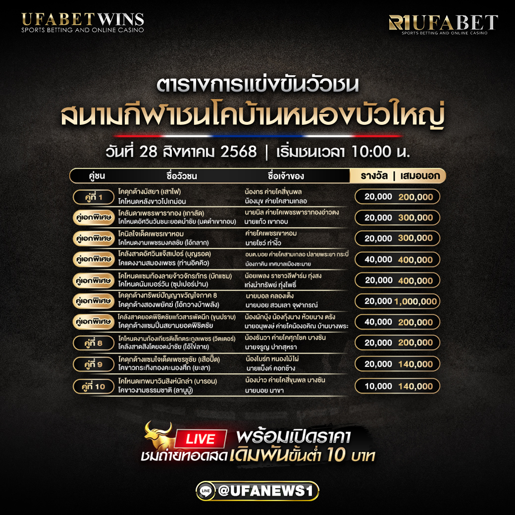 โปรแกรมวัวชน สนามกีฬาชนโคบ้านหนองบัวใหญ่ วันที่ 28/08/2568
