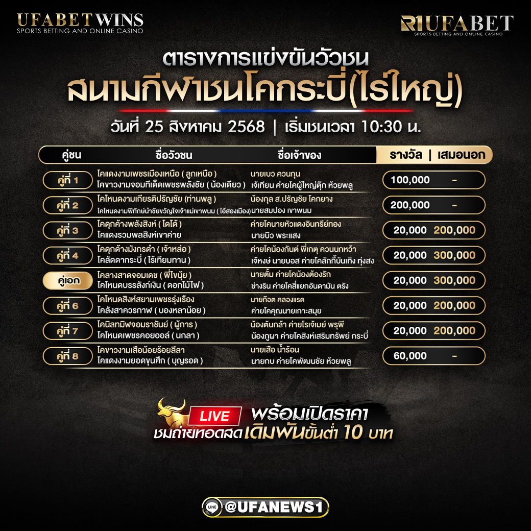 โปรแกรมวัวชน สนามกีฬาชนโคกระบี่(ไร่ใหญ่) วันที่ 25/08/2568