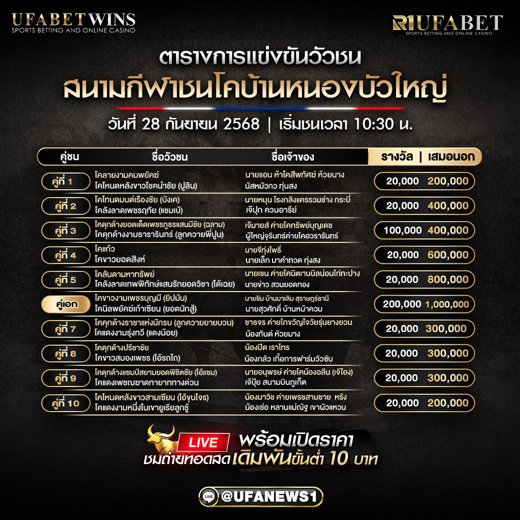 โปรแกรมวัวชน สนามกีฬาชนโคบ้านหนองบัวใหญ่ วันที่ 28/09/2568