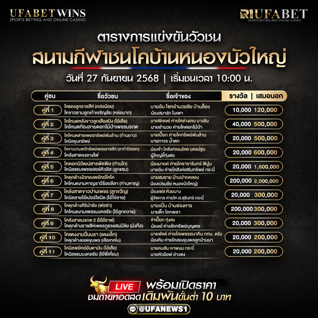 โปรแกรมวัวชน สนามชนโคบ้านหนองบัวใหญ่ วันที่ 27/09/2568