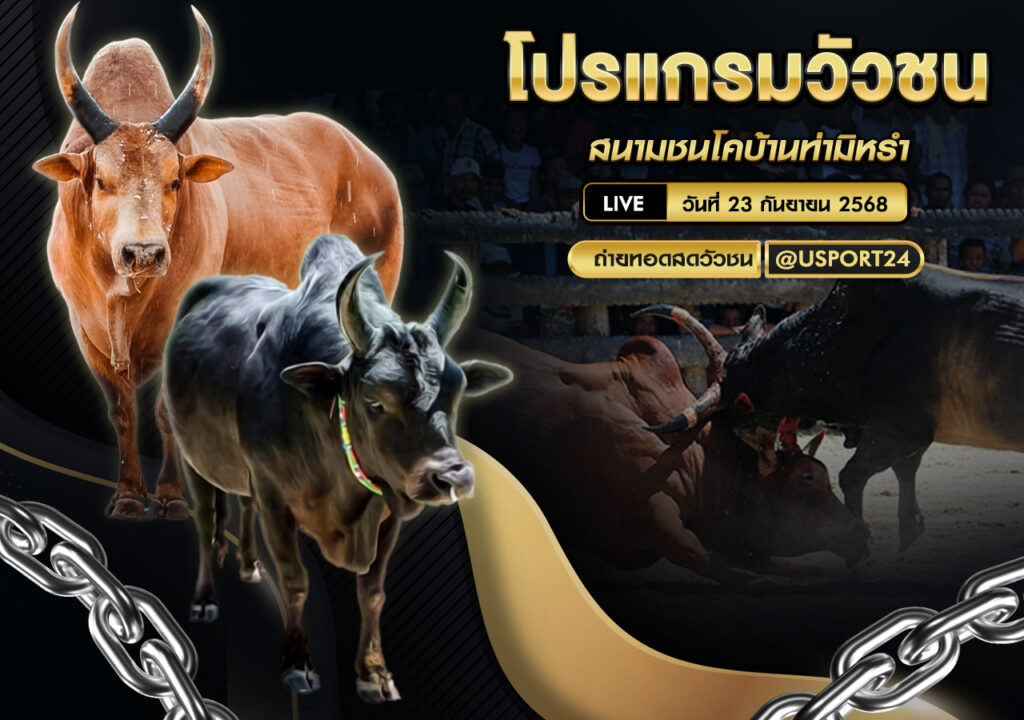 โปรแกรมวัวชน สนามชนโคบ้านหนองบัวใหญ่ วันที่ 27/09/2568