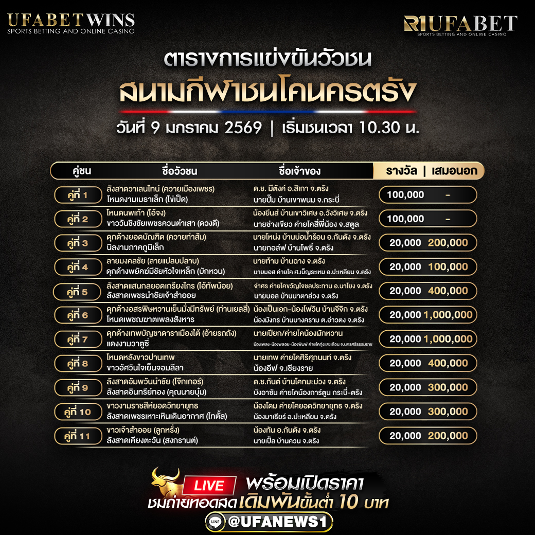 โปรแกรมวัวชนสนามกีฬาชนโคนครตรัง วันที่ 9 มกราคม 2569 เริ่มชนเวลา 10.30 น. อัปเดตครบ 16 คู่