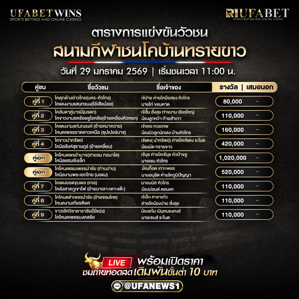 โปรแกรมวัวชน สนามกีฬาชนโคบ้านทรายขาว วันที่ 29 มกราคม 2569