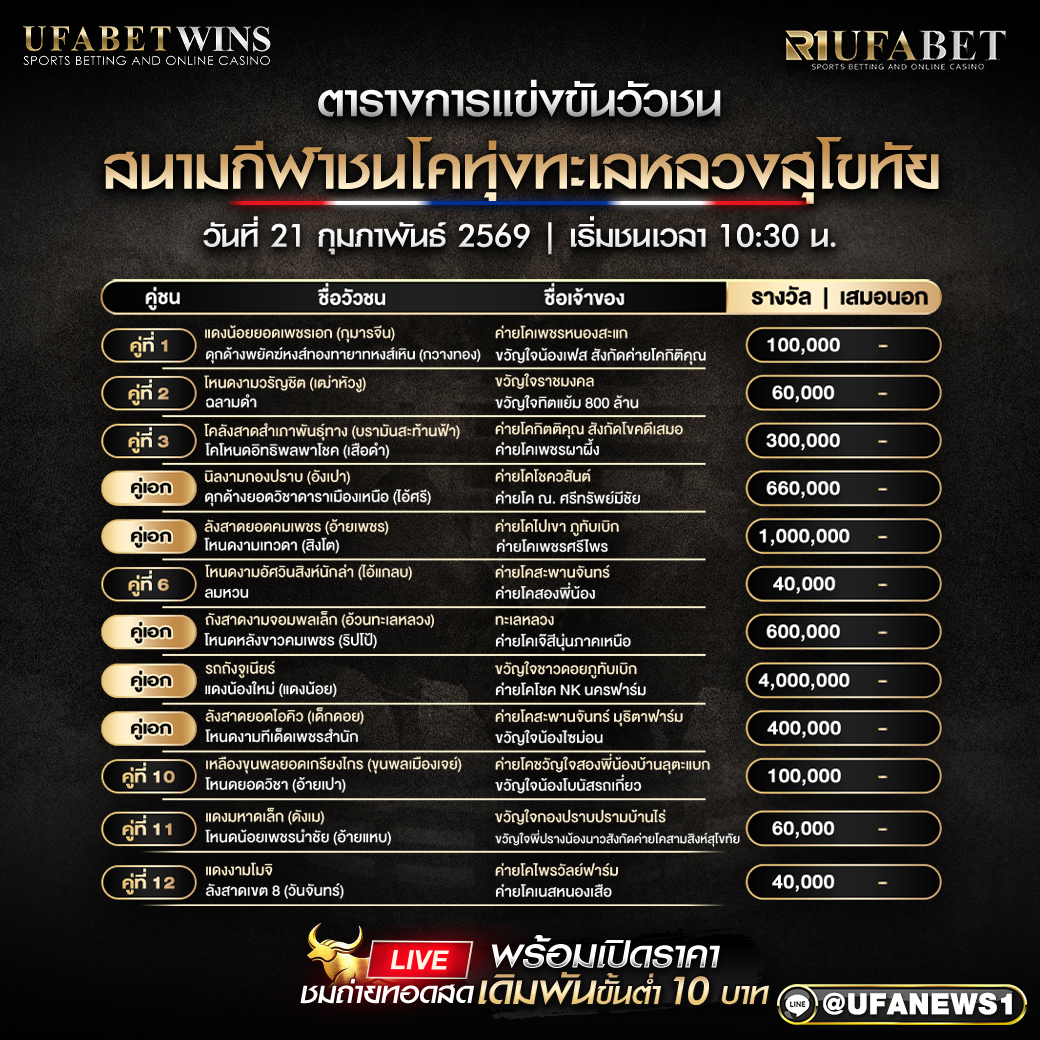 โปรแกรมวัวชน สนามกีฬาชนโคทุ่งทะเลหลวงสุโขทัย วันที่ 21 กุมภาพันธ์ 2569 เริ่มชนเวลา 10:30 น.